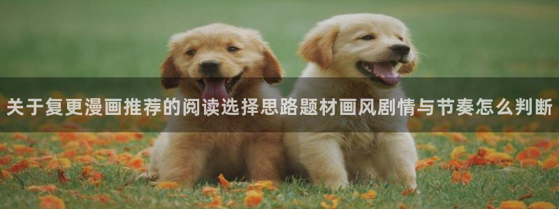 漫画免费看大全：关于复更漫画推荐的阅读选择思路题材画风剧情与节奏怎么判断