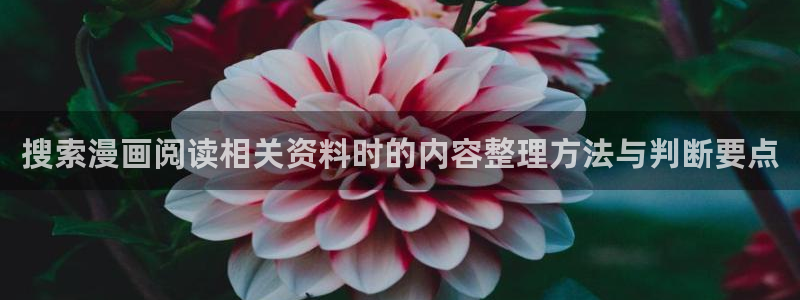 漫画免费看最新漫画