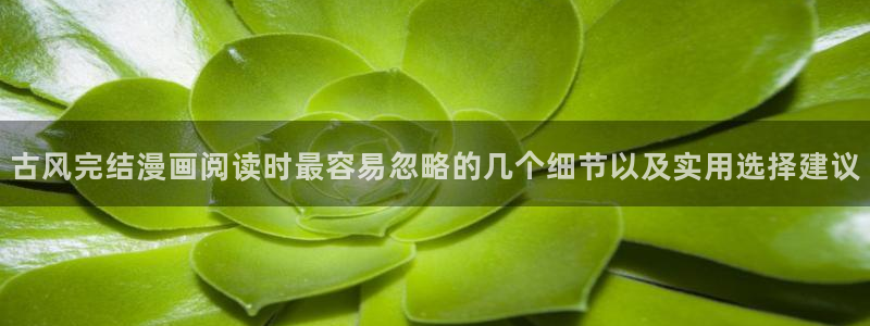 漫画免费看阅读导航