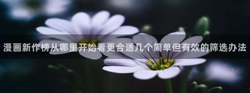 漫画免费看最新作品推荐